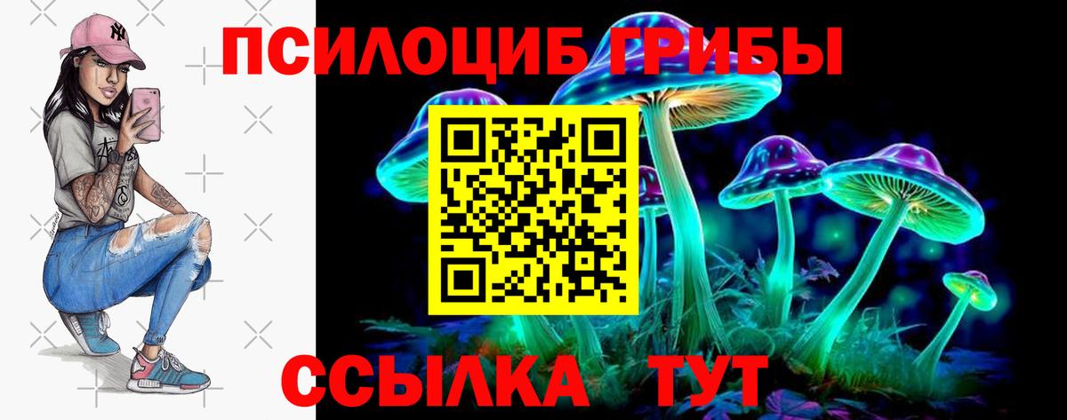Набережные Челны  Псилоцибиновые грибы мицелий  Вход с VPN 